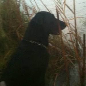 Meet your Posher, Sandra dupree